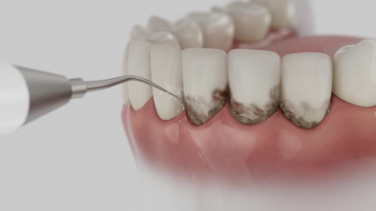 Reliable Dental contractor in Grand Forks AFB, ND by Dentist Open Now